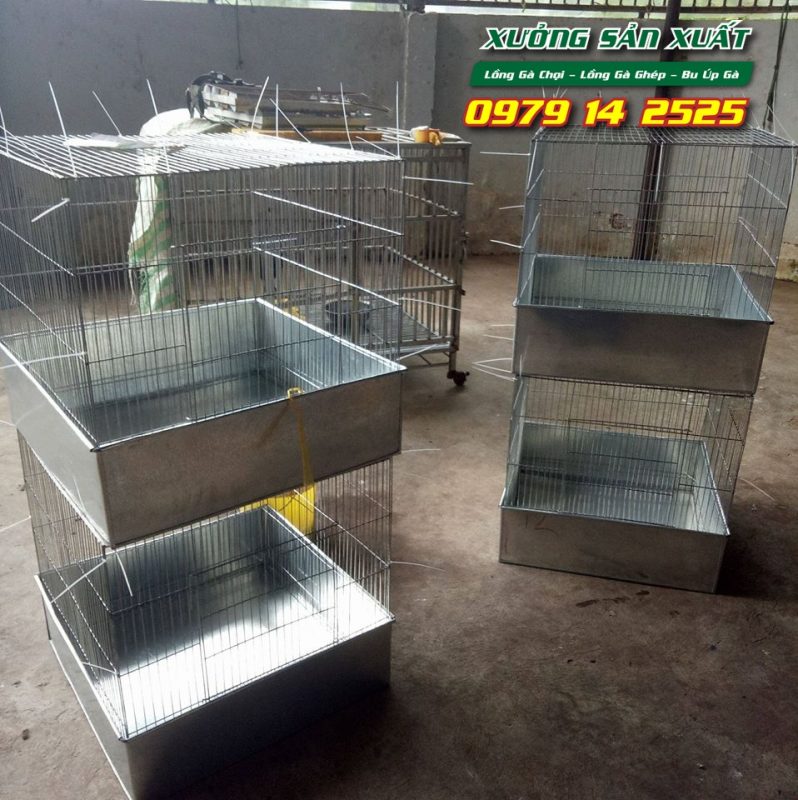 Lồng nuôi gà chọi, bu úp gà chọi khổ 80x80x80cm