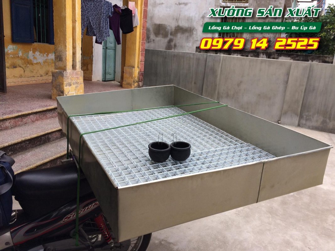 Lồng nuôi gà chọi, bu úp gà chọi khổ 80x80x80cm