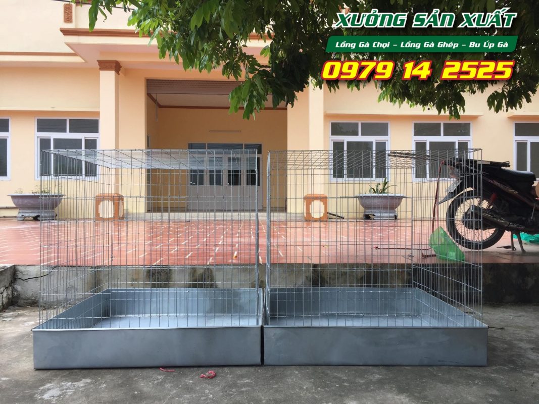 Lồng nuôi gà chọi, bu úp gà chọi khổ 80x80x80cm