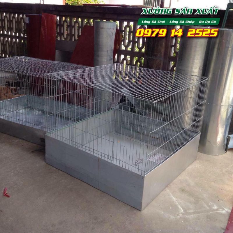 Lồng nuôi gà chọi, bu úp gà chọi khổ 80x80x80cm