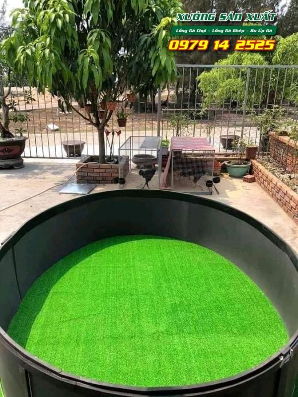 Lồng nuôi gà chọi, bu úp gà chọi khổ 80x80x80cm