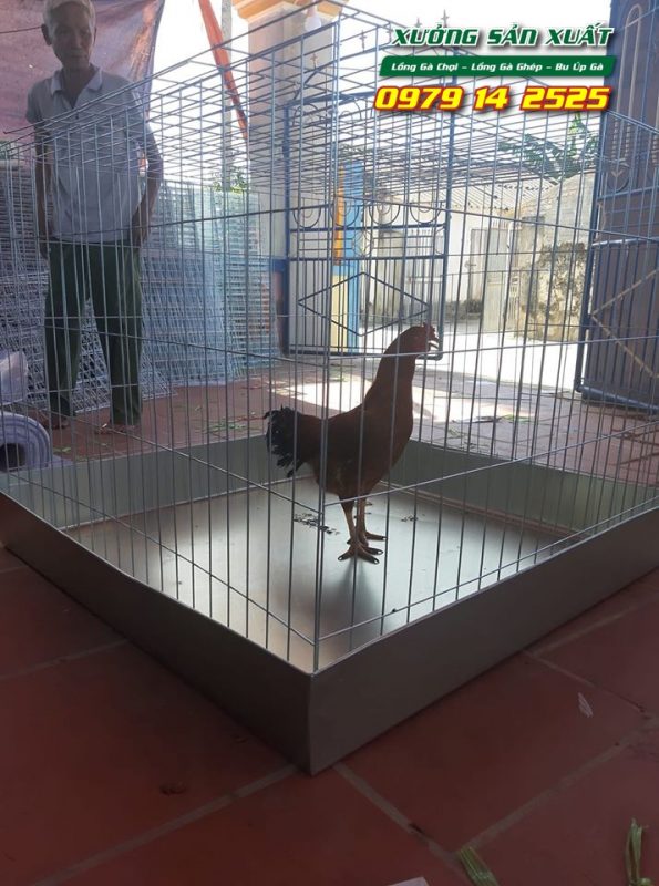 Lồng nuôi gà chọi, bu úp gà chọi khổ 80x80x80cm