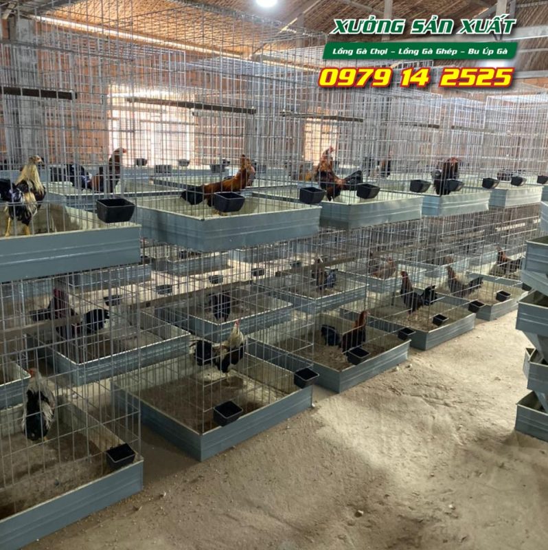 Lồng nuôi gà chọi, bu úp gà chọi khổ 80x80x80cm