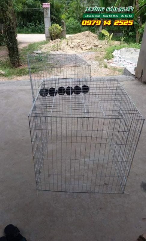 Lồng nuôi gà chọi, bu úp gà chọi khổ 80x80x80cm